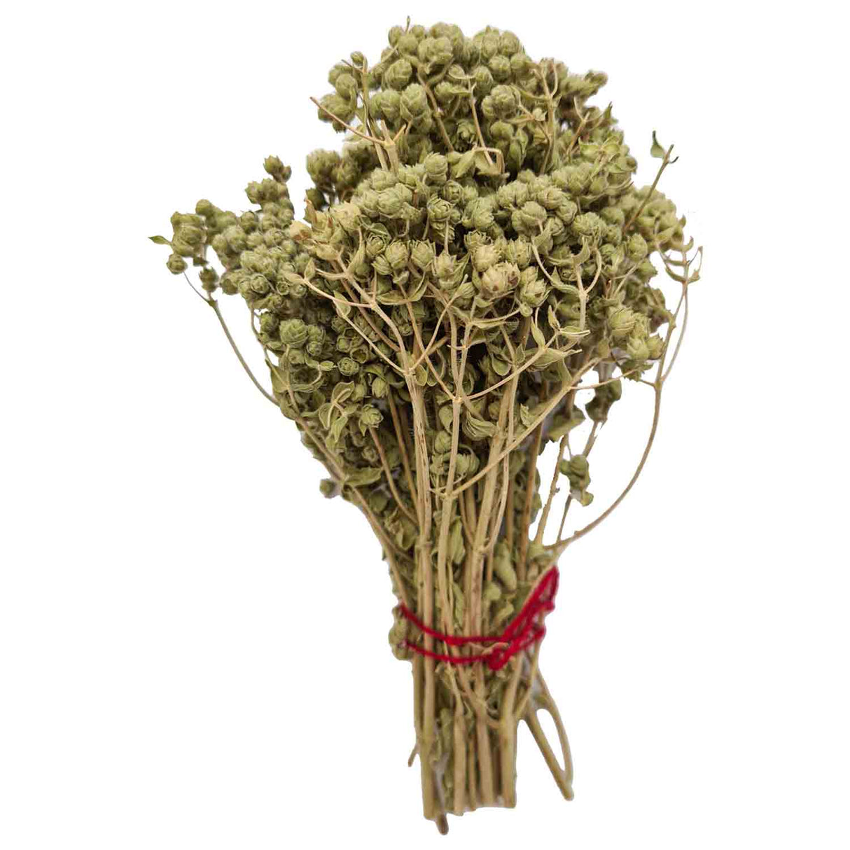 Dried Wild Oregano Bunch