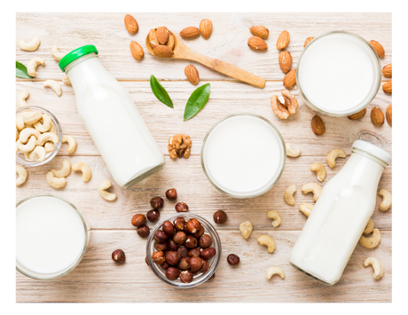 Homemade Almond Milk, Cashew Milk, and Hazelnut Milk Recipes