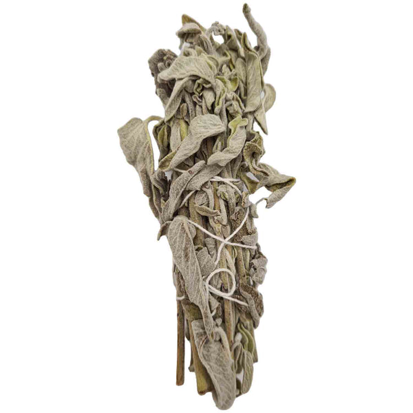 White Sage Smudge Sticks